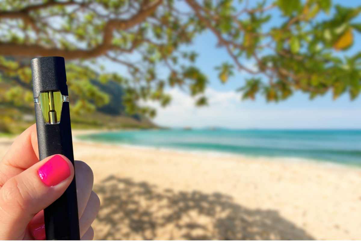 elf bar vape uk Do Stiiizy Pods Expire? Essential Facts Every User Should Know